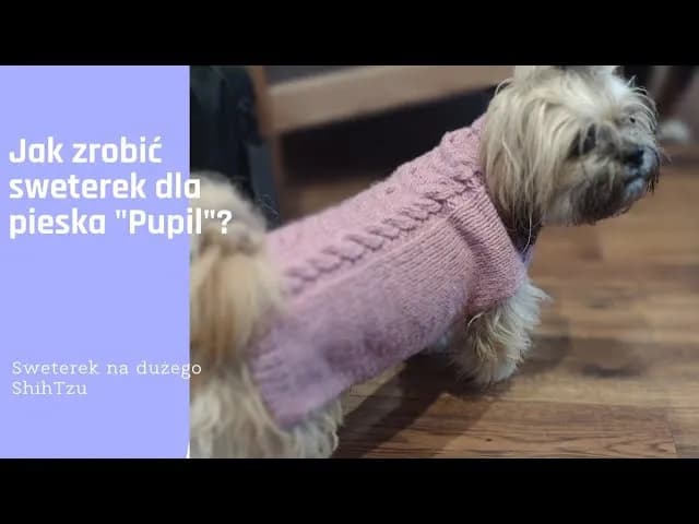 Jak zrobić sweterek dla psa – proste sposoby na ciepłe ubranko