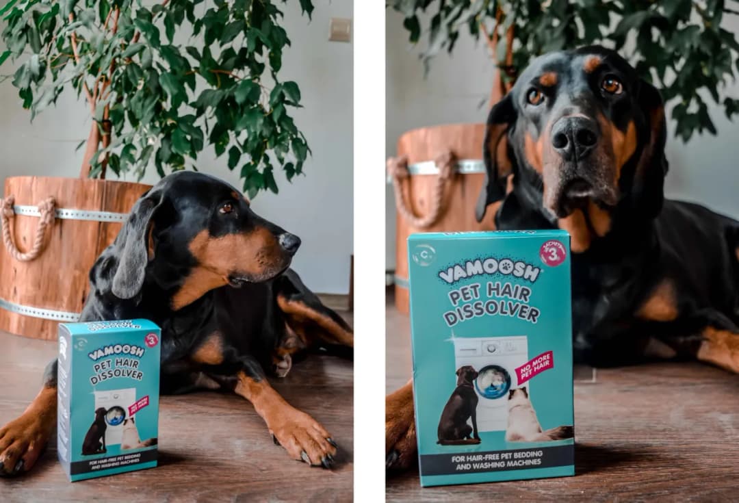 Jak wyprać koc z sierści, aby skutecznie usunąć włosy zwierząt