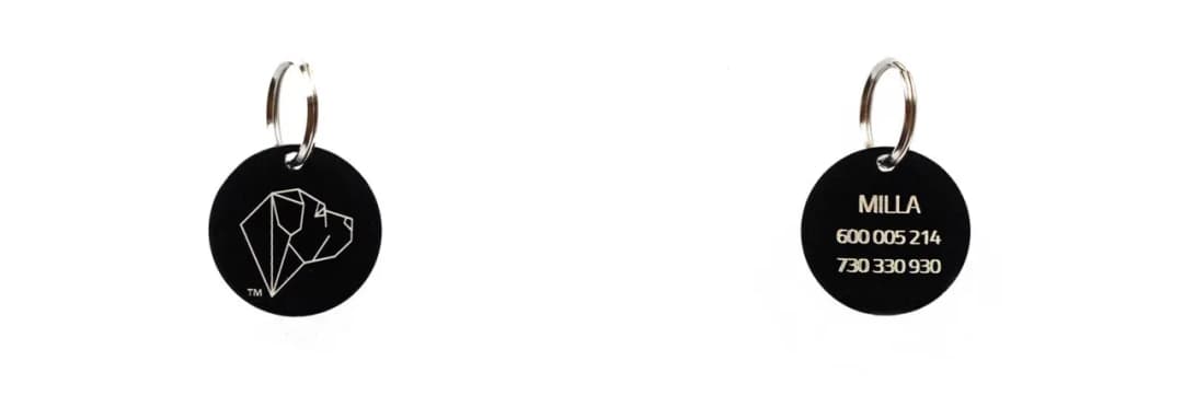 Adresówka dla psa co napisać, aby nigdy go nie zgubić