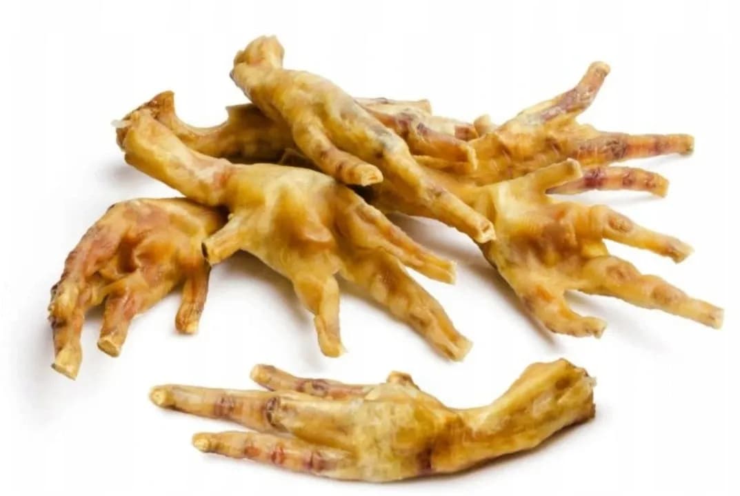 Jak przygotować kurze łapki dla psa - bezpieczne i zdrowe przepisy