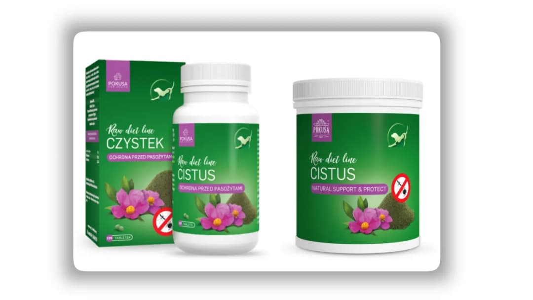 Jaki czystek dla psa wybrać, aby wspierać zdrowie pupila?