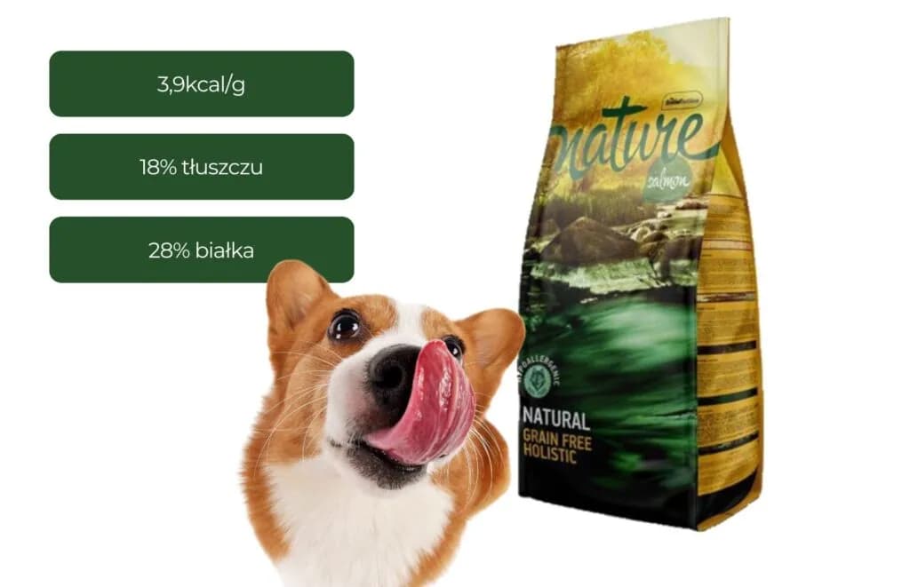 Najlepsza sucha karma dla psa - jak uniknąć błędów przy wyborze