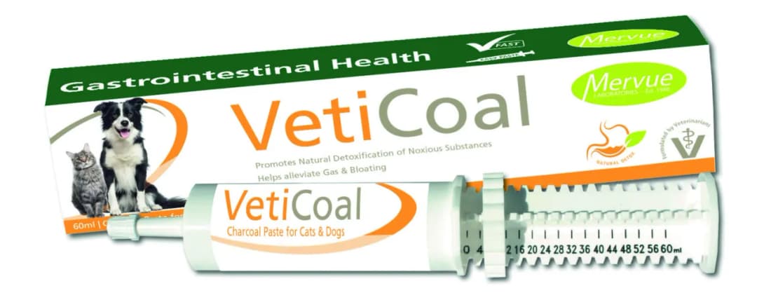 Ile węgla aktywnego dla psa? Sprawdź bezpieczne dawkowanie