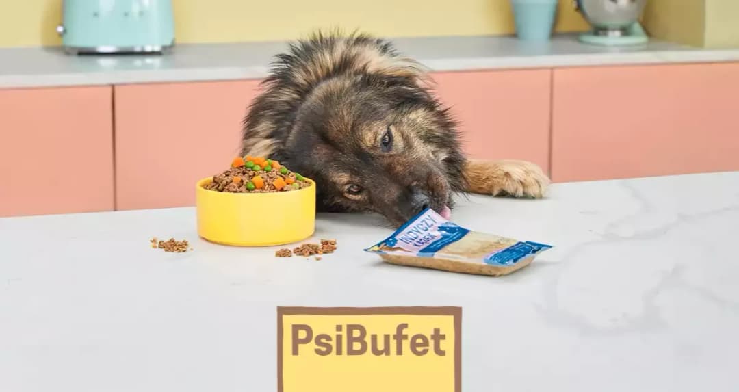 Chow chow sierść czy włosy – co musisz wiedzieć o pielęgnacji