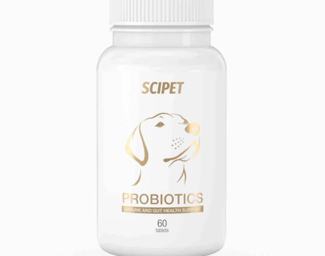 Gdzie kupić probiotyk dla psa? Odkryj najlepsze opcje i porady