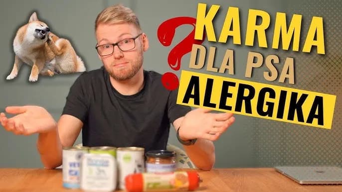 Co gotować dla psa alergika, aby uniknąć problemów zdrowotnych?