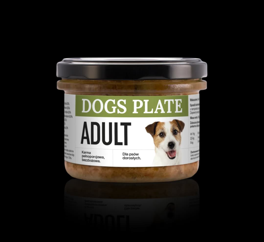 Od kiedy karma dla dorosłych psów? Sprawdź, czy twój pies jest gotowy