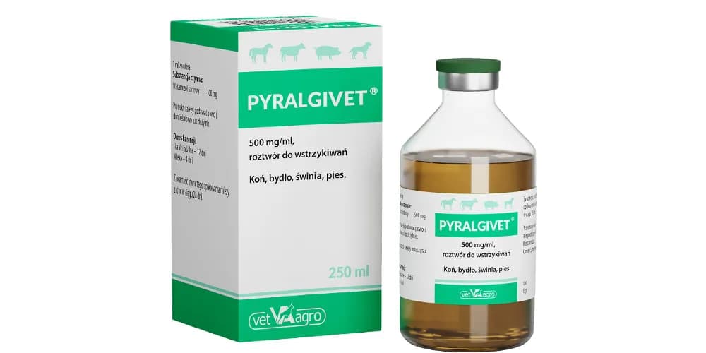Pyralgina dla psa ile razy dziennie – ważne informacje dla właścicieli