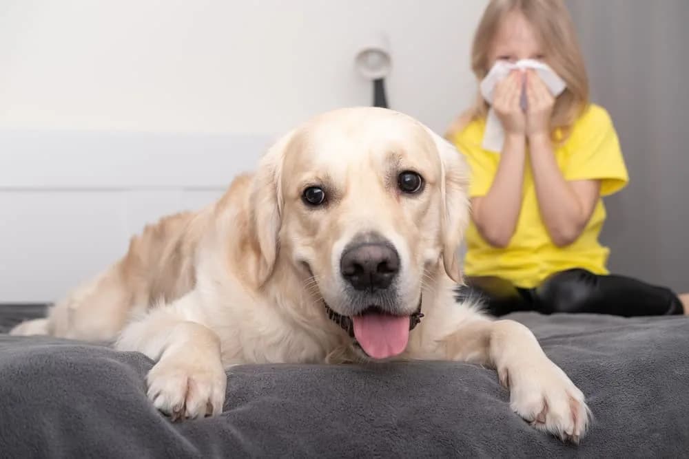 Alergia na sierść psa u dzieci - objawy, które mogą zaskoczyć rodziców