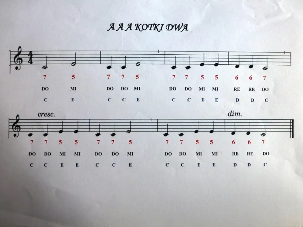 Jak zagrać na flecie wlazł kotek na płotek – proste nuty i techniki