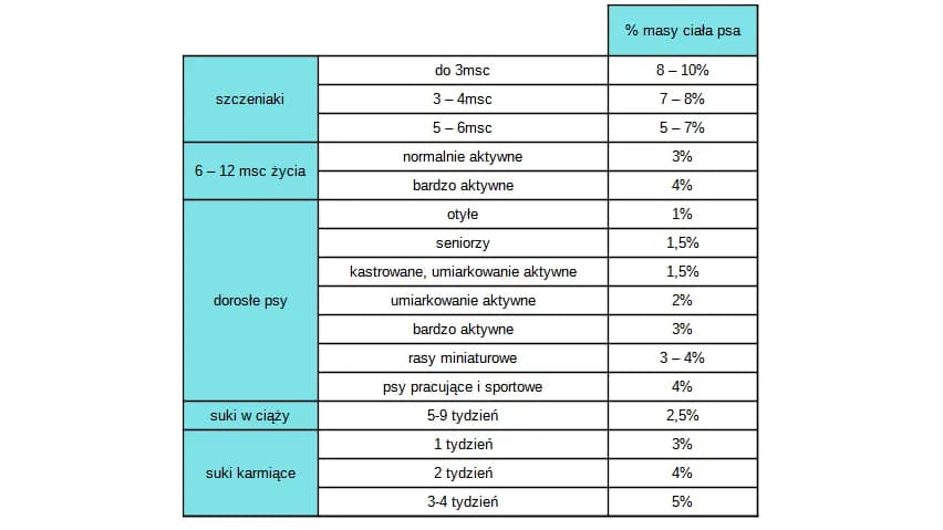 Ile gram gotowanego jedzenia dla psa? Sprawdź, ile powinien jeść